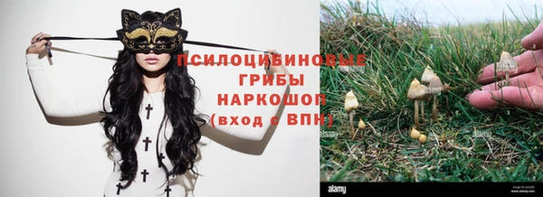 соль курить ск Ладушкин