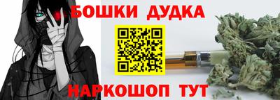 гидра Новокубанск