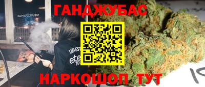гидра Новокубанск