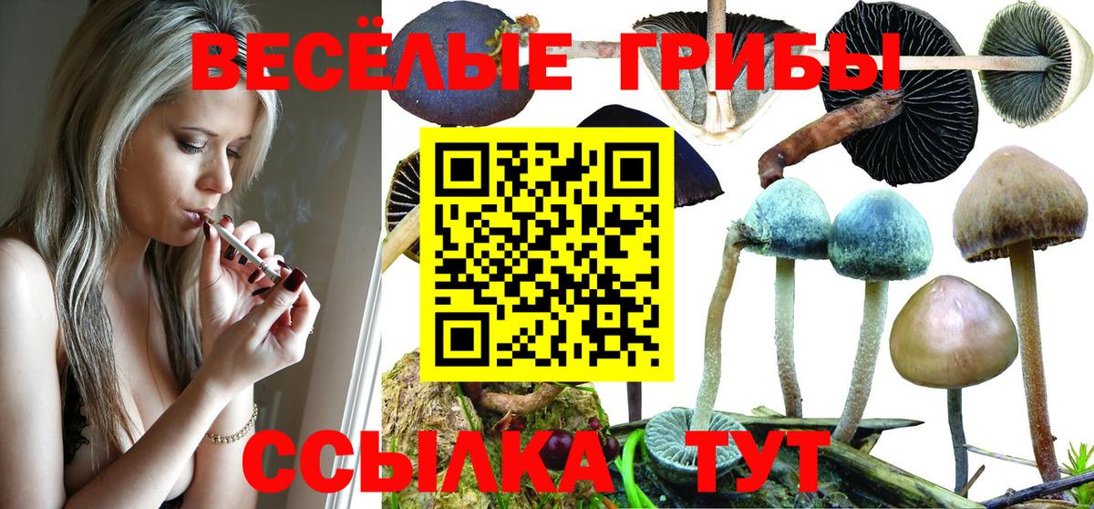 Псилоцибиновые грибы Psilocybine cubensis  Вход с VPN  дарнет шоп  Черемхово 